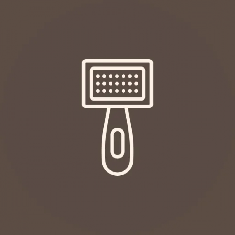 loading="lazy"