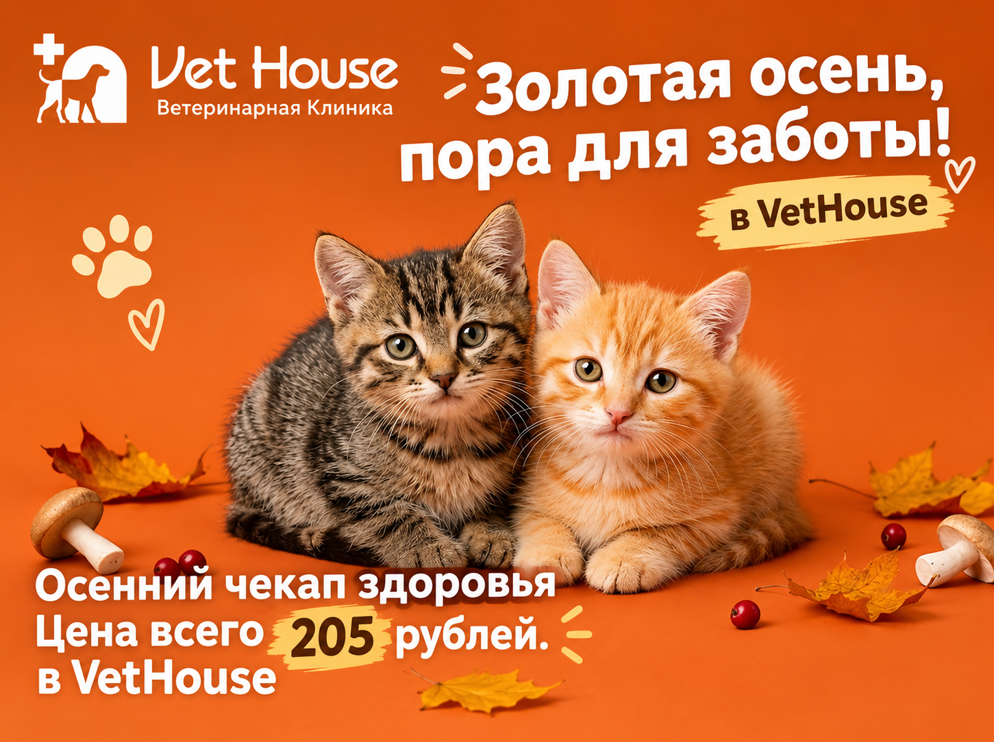 Актуальные акции VetHouse