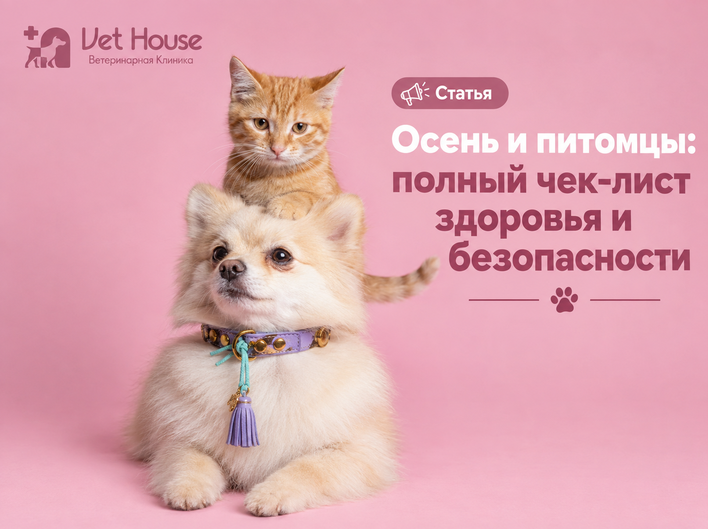 Осень и питомцы: полный чек-лист здоровья и безопасности!